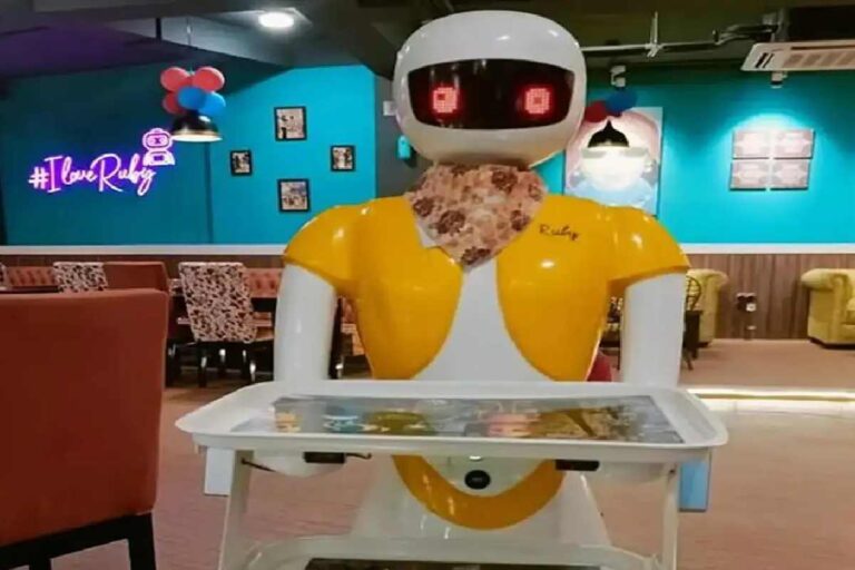 The Robot Restaurant Lucknow – The Yellow House Photos